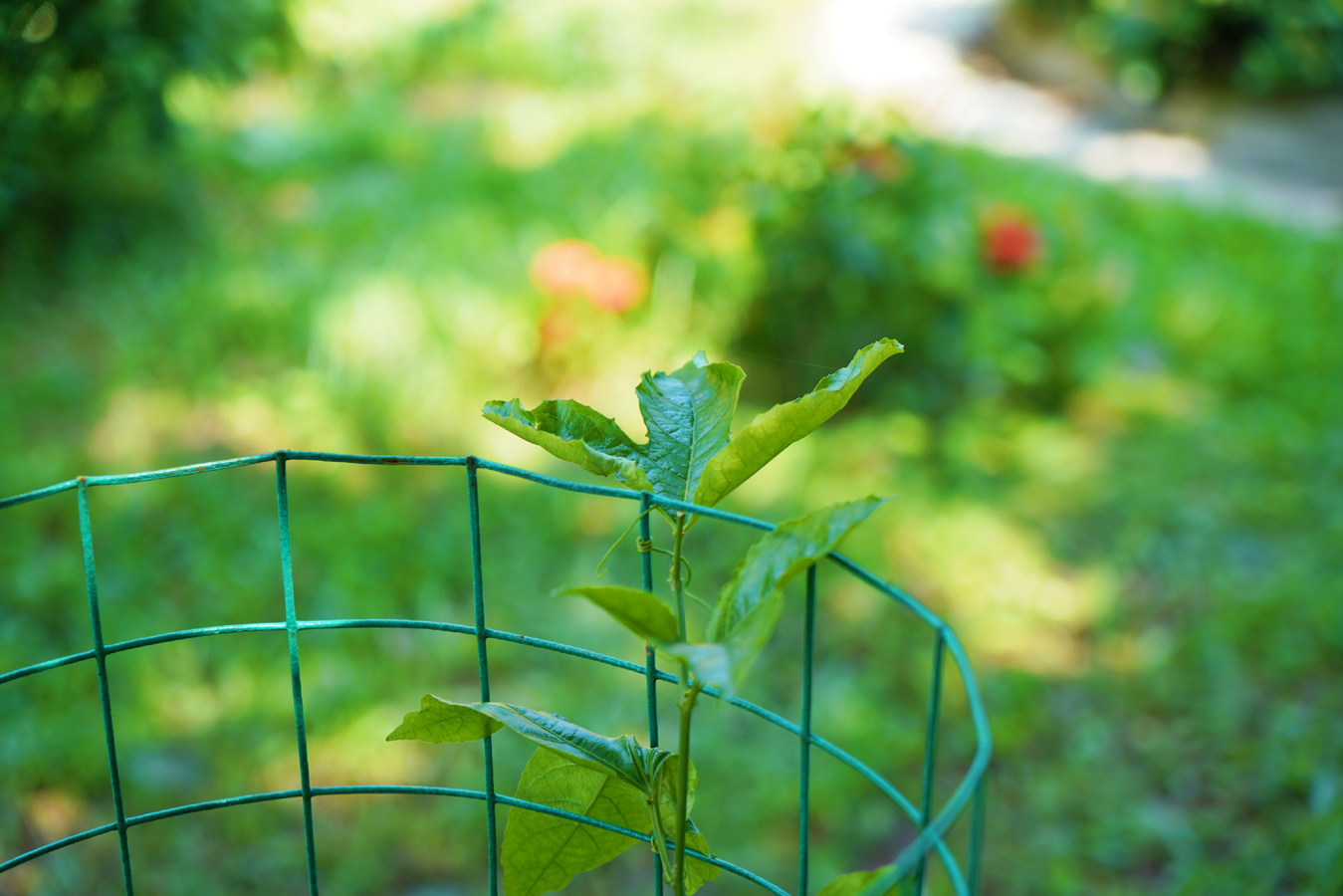 优德88·(中国区)有限公司官网