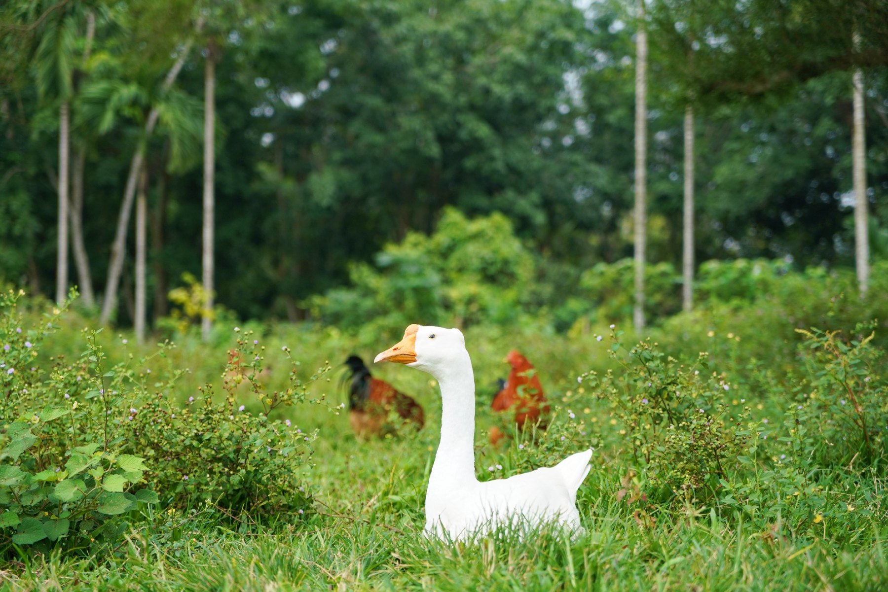 优德88·(中国区)有限公司官网
