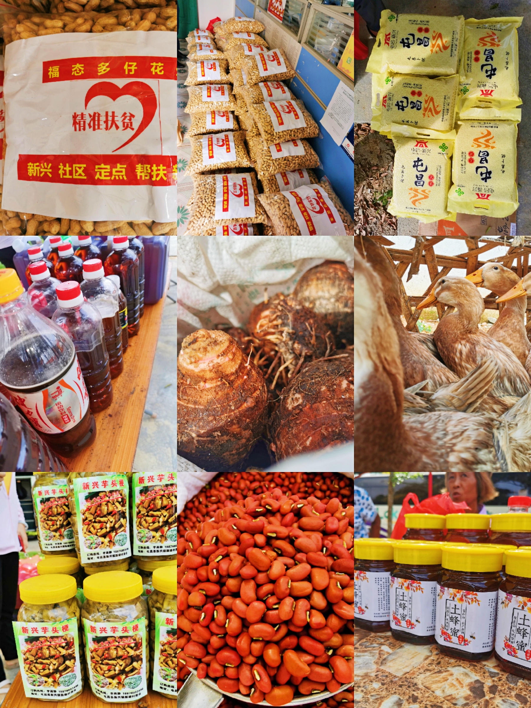 优德88·(中国区)有限公司官网