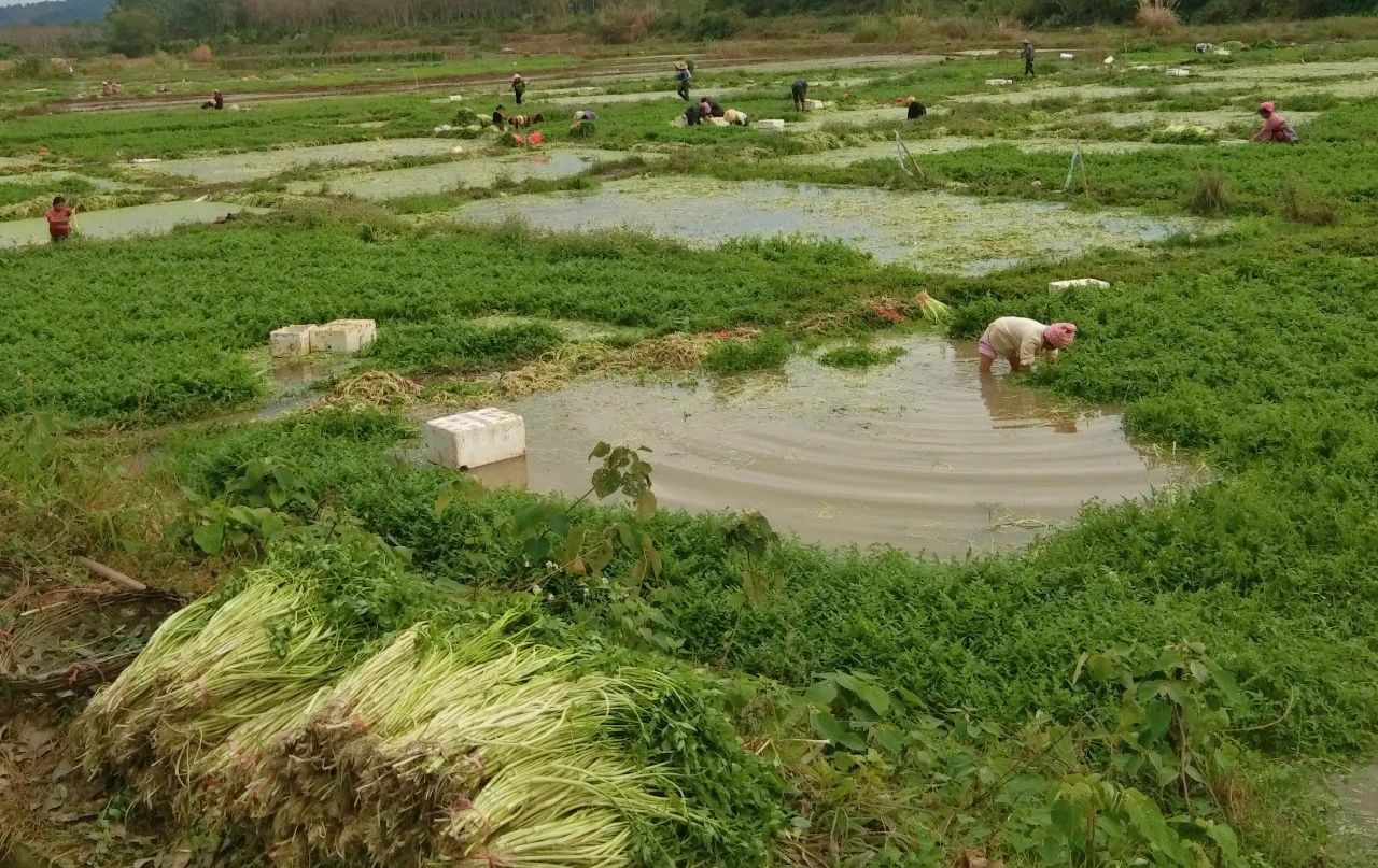 优德88·(中国区)有限公司官网