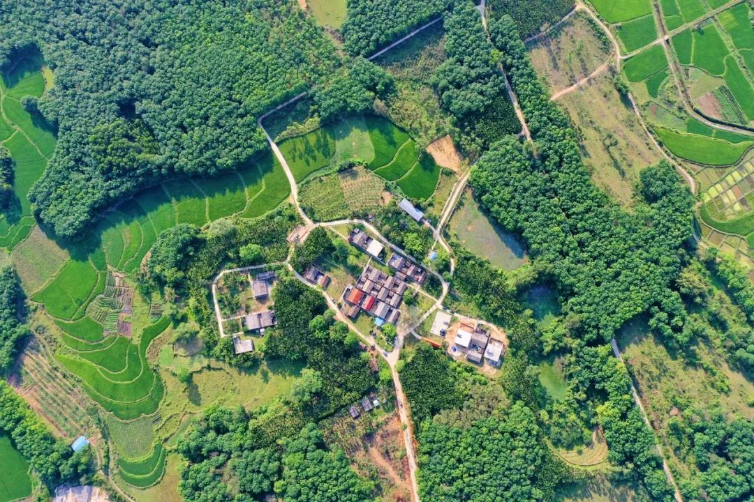 优德88·(中国区)有限公司官网