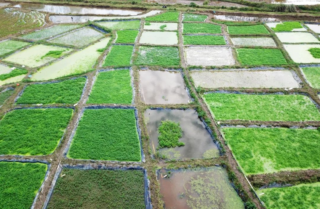 优德88·(中国区)有限公司官网